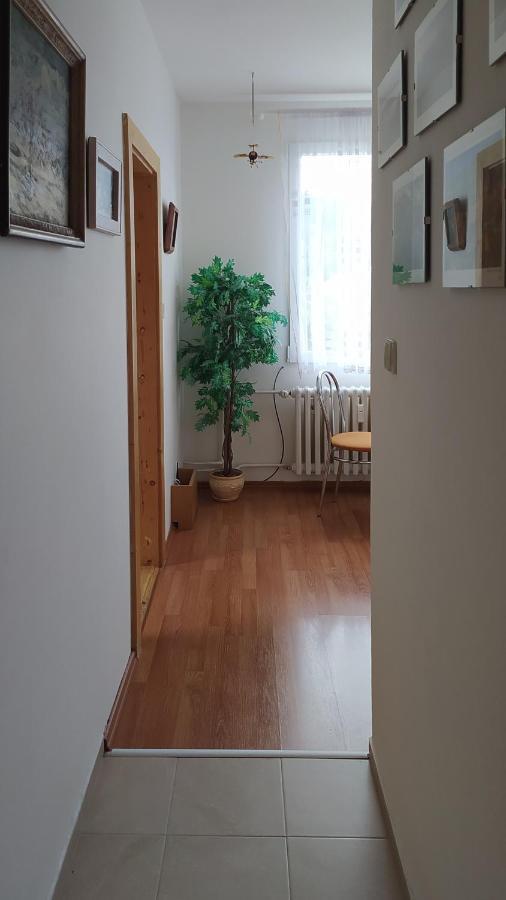 Apartman V Srní Εξωτερικό φωτογραφία