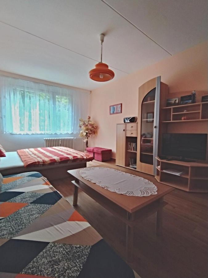 Apartman V Srní Εξωτερικό φωτογραφία