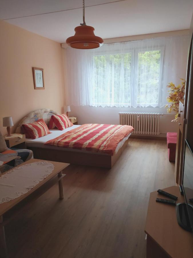 Apartman V Srní Εξωτερικό φωτογραφία